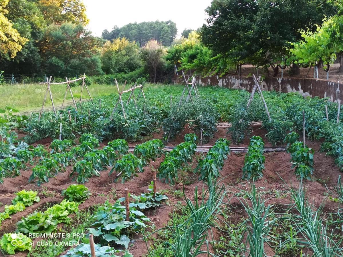 Finca Vergel Гата Экстерьер фото