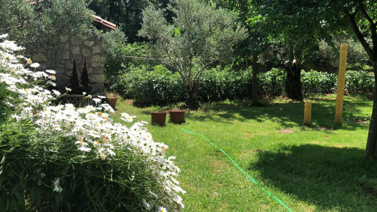 Finca Vergel Гата Экстерьер фото