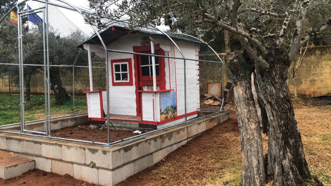 Finca Vergel Гата Экстерьер фото