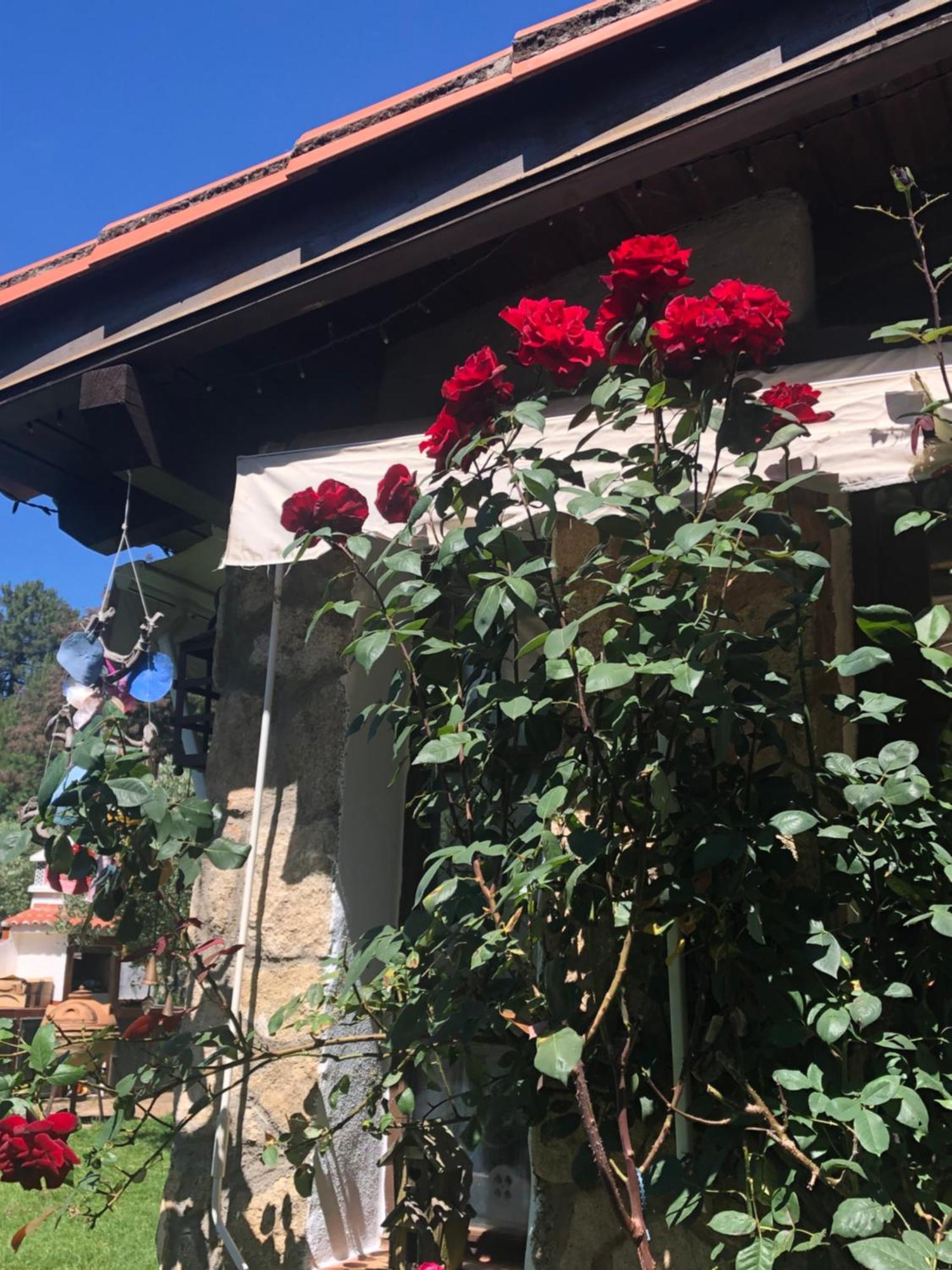 Finca Vergel Гата Экстерьер фото